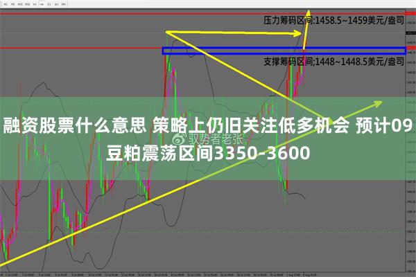 融资股票什么意思 策略上仍旧关注低多机会 预计09豆粕震荡区间3350-3600