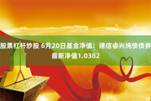 股票杠杆炒股 6月20日基金净值：建信睿兴纯债债券最新净值1.0382