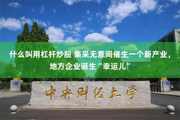 什么叫用杠杆炒股 集采无意间催生一个新产业，地方企业诞生“幸运儿”