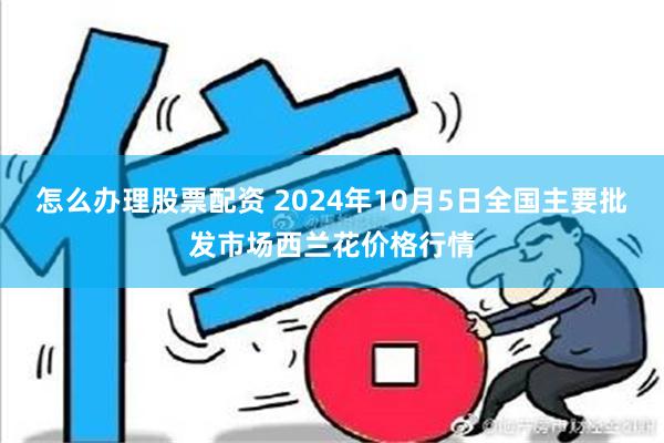 怎么办理股票配资 2024年10月5日全国主要批发市场西兰花价格行情