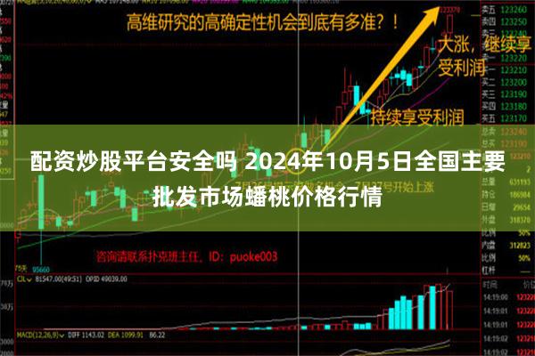 配资炒股平台安全吗 2024年10月5日全国主要批发市场蟠桃价格行情