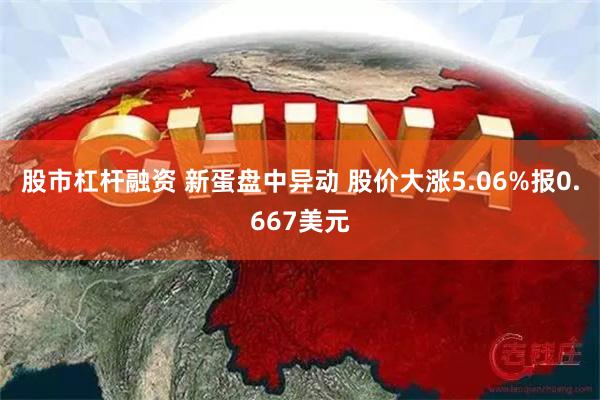 股市杠杆融资 新蛋盘中异动 股价大涨5.06%报0.667美元