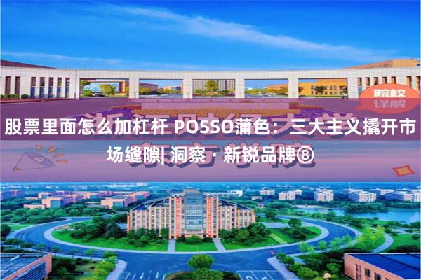 股票里面怎么加杠杆 POSSO蒲色：三大主义撬开市场缝隙| 洞察 · 新锐品牌⑧